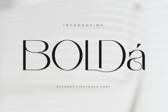 Bolda: The Elegant Sans Serif Font for Branding