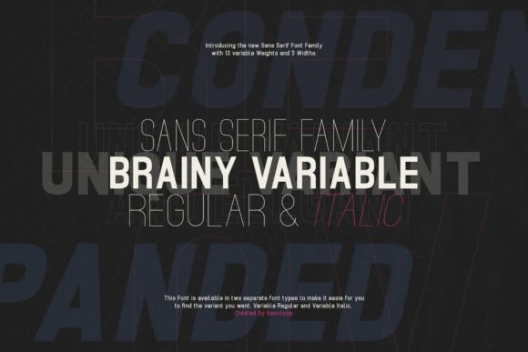 Brainy Variable: A Modern Sans Serif for Web Design