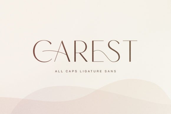Carest: A Modern Sans Serif Font for Business