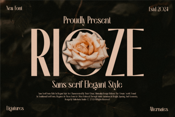 Rioze: A Modern Sans Serif Font for Editorial Design