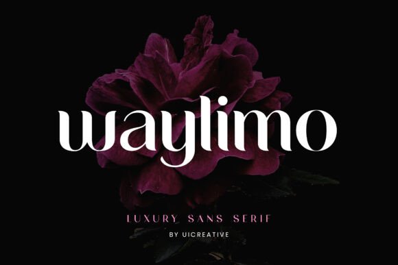 Waylimo: The Bold Sans Serif Font for Modern Editorial